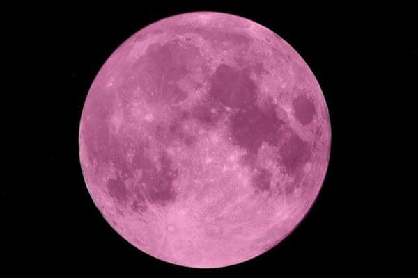 Розовая Луна взойдет над Землей в субботу, и прольется метео­ритный дождь