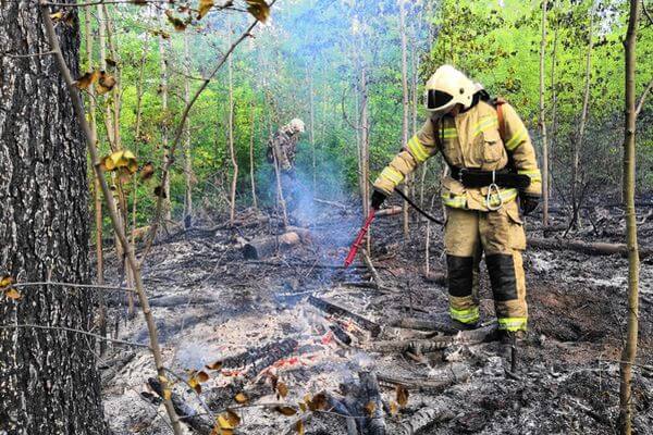 В Тольятти потушили лесной пожар