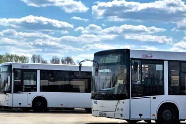 Для Тольятти в 2024 году закупят 14 автобусов