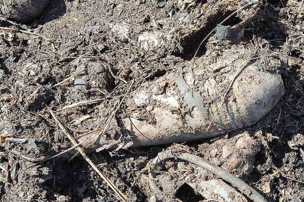 В Самарской области нашли 75 гранат, мину и снаряд