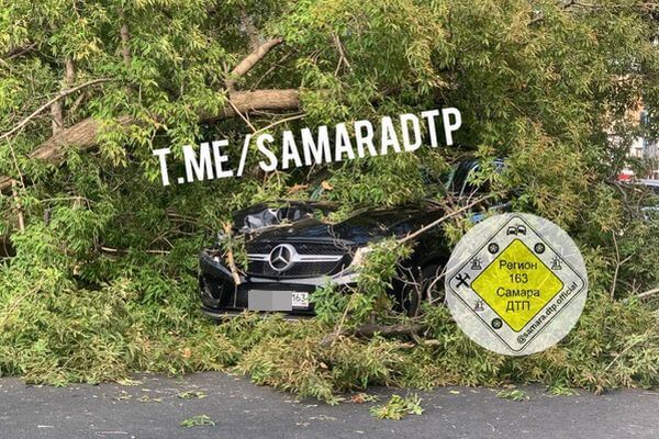 В центре Самары на «Мерседес» рухнуло дерево
