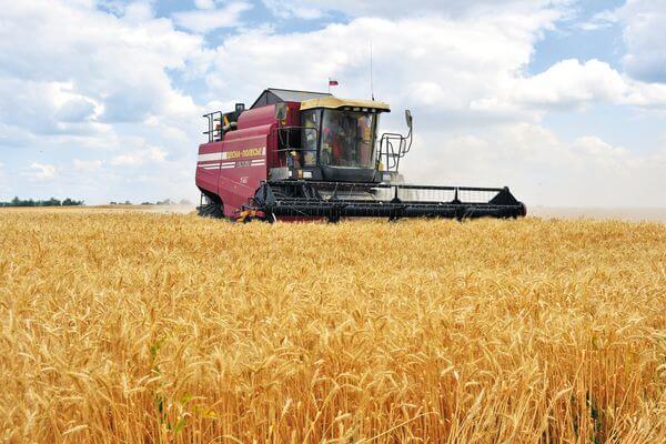 «Достойный результат»: Дмитрий Азаров побла­го­дарил аграриев региона за рекордный урожай зерновых
