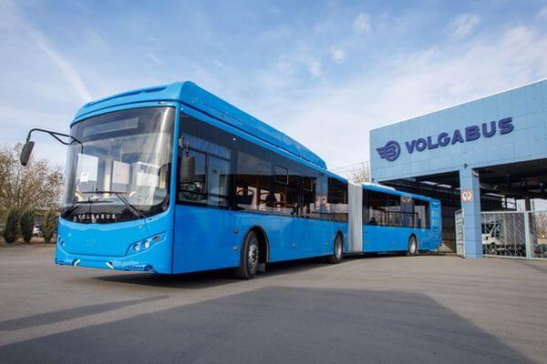 Завод Volgabus ожидает заказ на 4000 машин