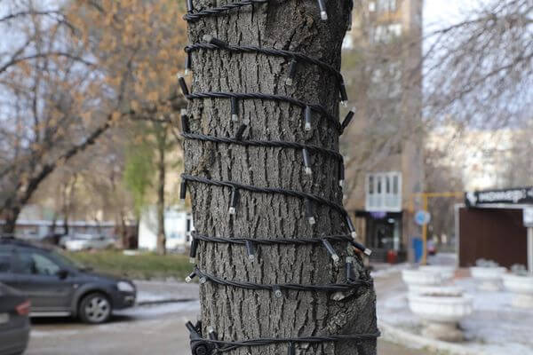 В Самаре 500 деревьев украсят гирляндами к Новому году