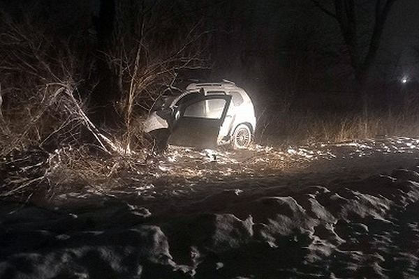 «Рено» влетел в дерево ночью в Сызрани, водитель госпитализирован