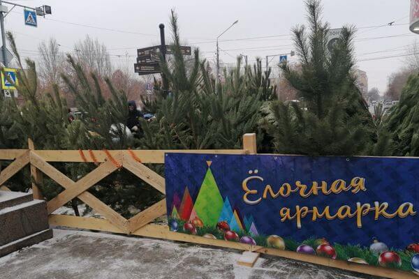 В Самару прибыли елки из Екатеринбурга, Пензенской и Ульяновской областей
