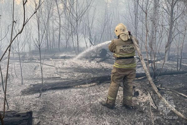 В Тольятти тушат лесной пожар на площади 8 га