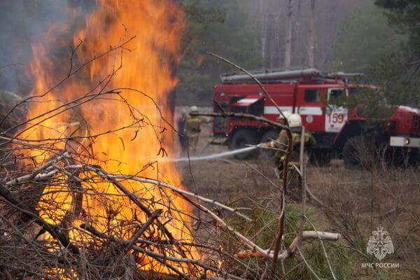 За прошедшие сутки в Самарской области произошло 12 природных пожаров