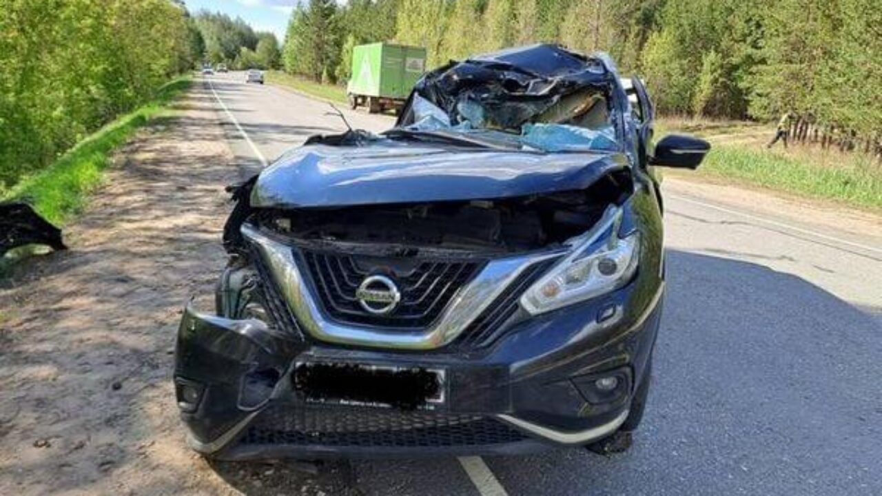 Ниссан» вылетел с дороги и врезался в дерево в Самарской области |  CityTraffic