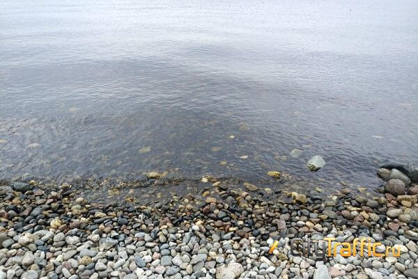 Вода в Волге у берегов Самары в конце июля теплее нормы, у берегов Тольятти — холоднее