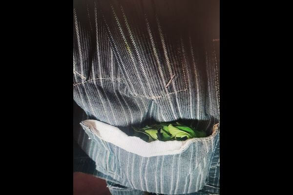 Житель Самарской области попался полиции с марихуаной, торчащей из кармана