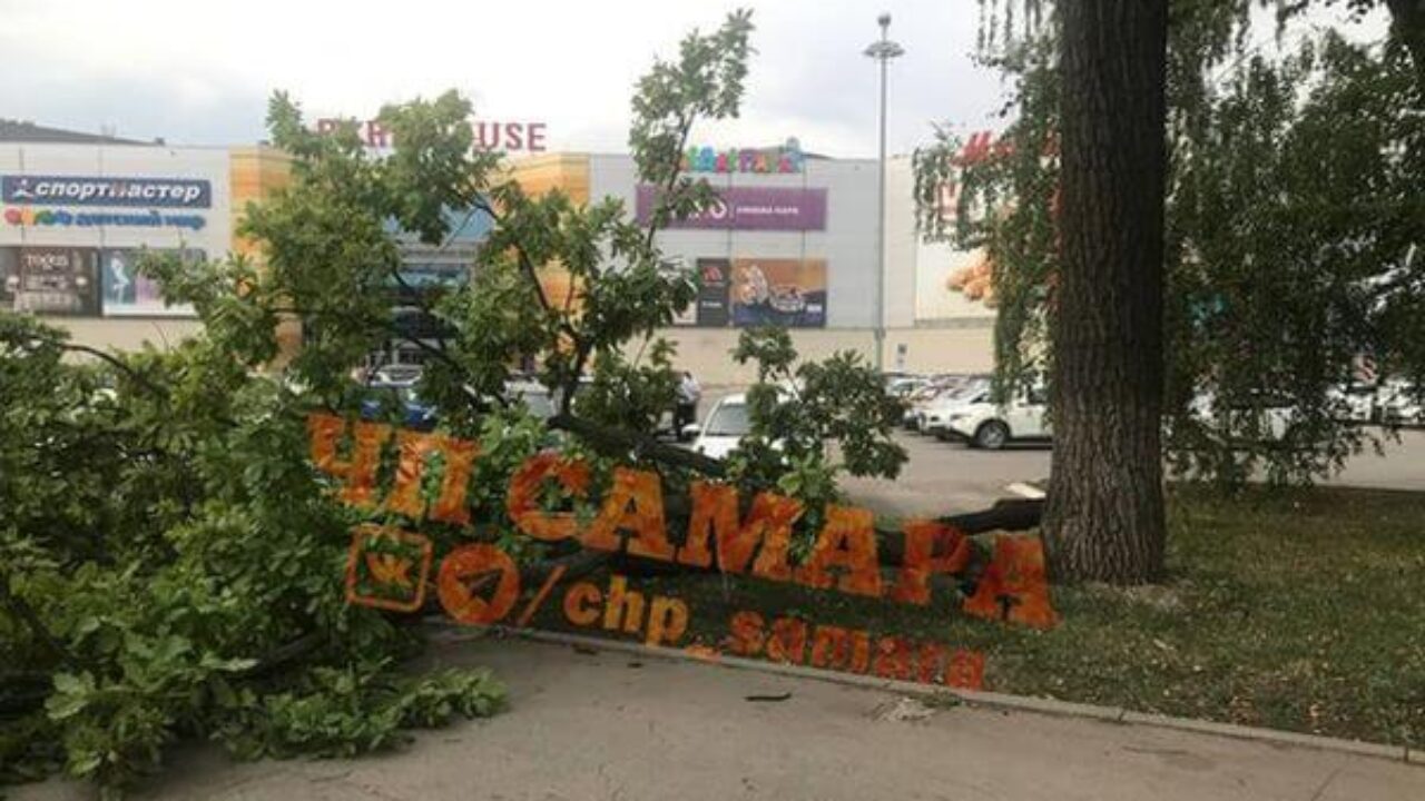 В Самаре дерево упало на ребенка с матерью | CityTraffic