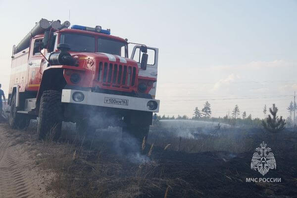 Лесной пожар в Тольятти ликви­ди­рован спустя сутки