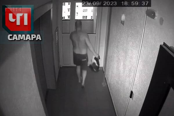 Полиция проверяет инфор­мацию о том, что житель Жигулевска скинул кота с 8 этажа