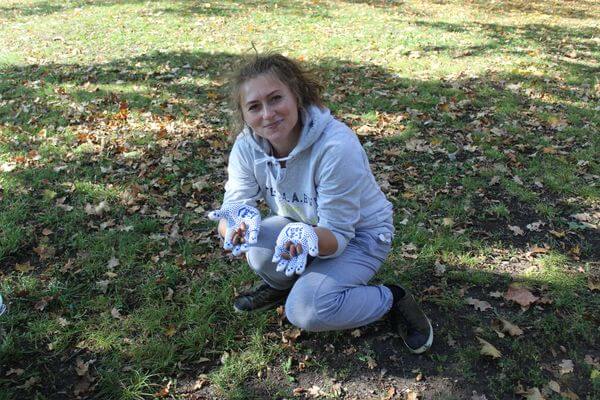 В парке Гагарина в Самаре собрали желуди для выращи­вания дубов в лесных питомниках