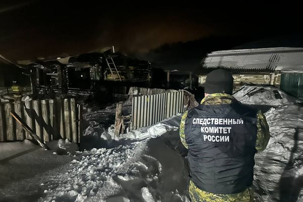 СК возбудил уголовное дело из-за гибели семьи с маленьким ребенком на пожаре в Самарской области