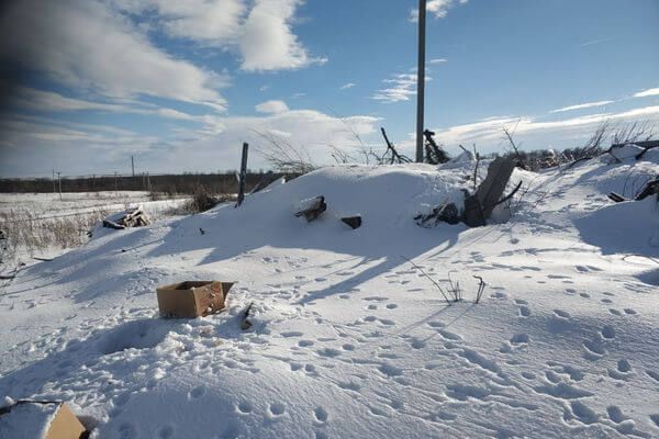 В Самарской области обнаружили свалку с отходами на площади 1,2 га