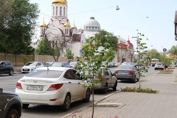 В Самаре на время ремонта дороги с улицы Куйбышева пересадили 24 каштана и 12 лип