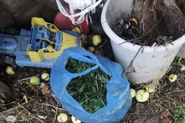 В доме обкуренного жителя Самарской области нашли пакет с 300 граммами конопли